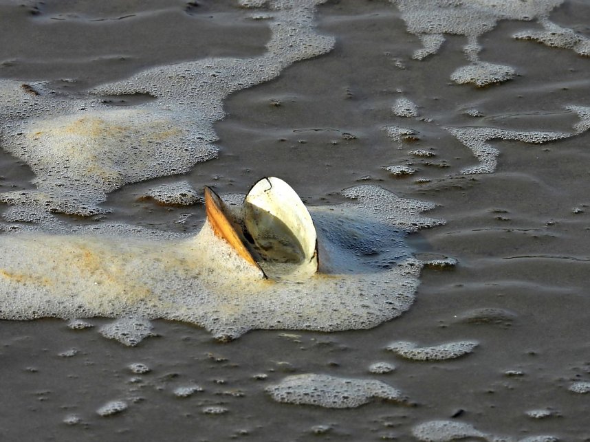 Peter Blei am Muldestausee