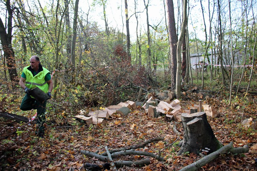 Feuerwehr beim Arbeitseinsatz