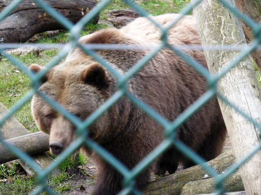 Der Possen- sch&ouml;n zu jeder Jahreszeit