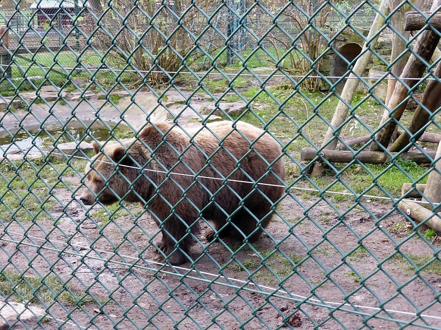 Der Possen- sch&ouml;n zu jeder Jahreszeit
