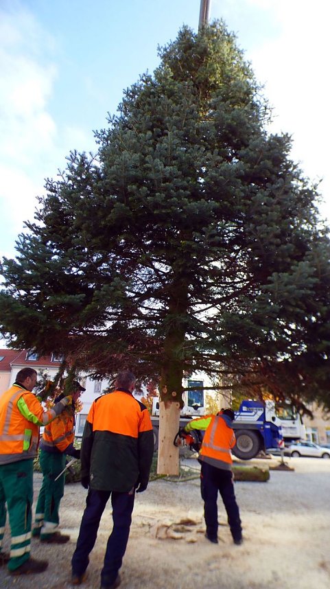 Weihnachtsmeldungen Bad Frankenhausen aktuell