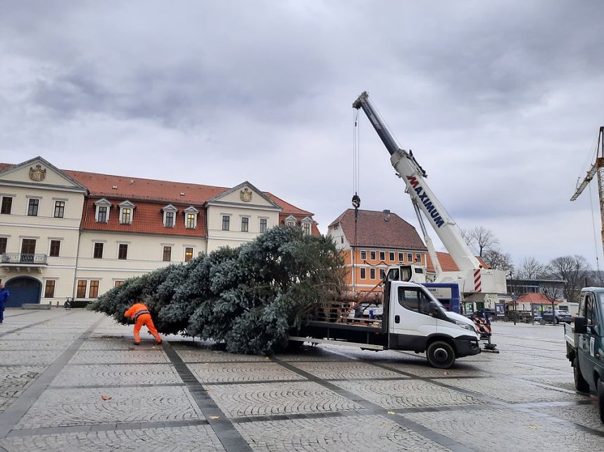 Weihnachtsbaum-SDH