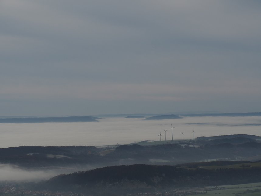 Blick vom Poppenbergturm 