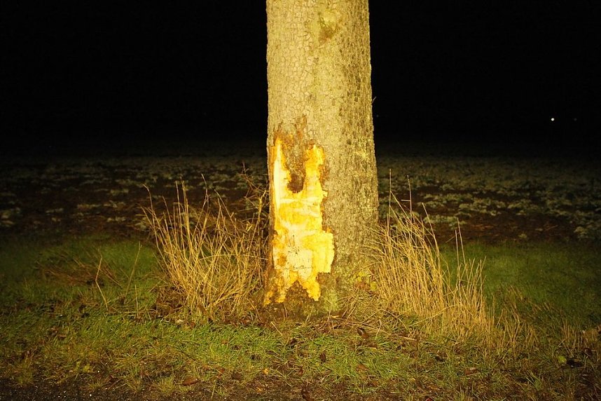 Rentnerin mit Auto gegen Baum geprallt