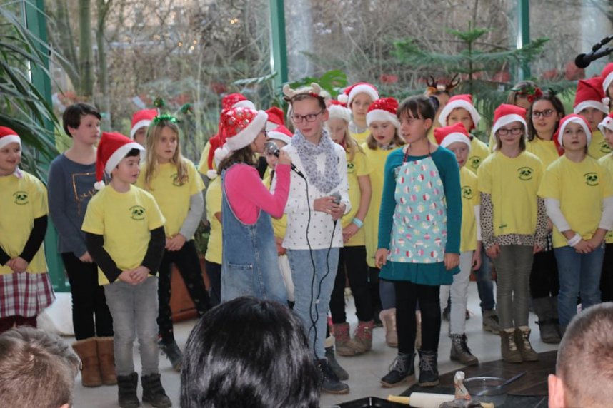 Weihnachtskonzert in der Franzbergschule