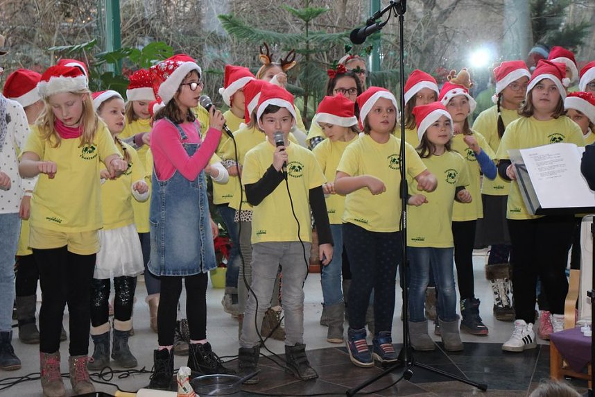Weihnachtskonzert in der Franzbergschule
