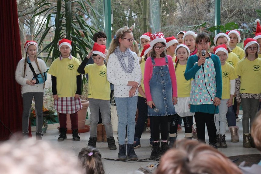 Weihnachtskonzert in der Franzbergschule