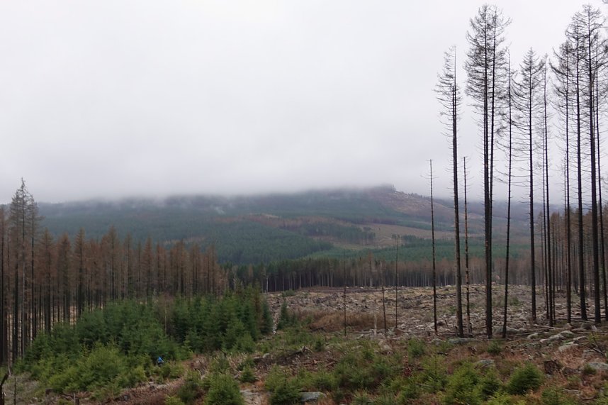 Heiligabend noch schnell auf den Brocken (2019)