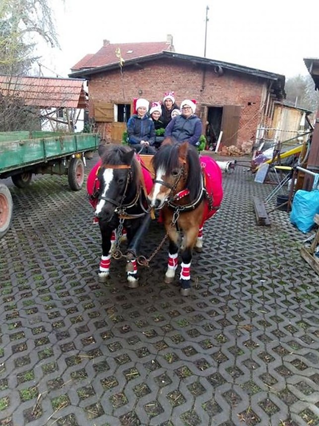 Sondersh&auml;user Obdachlose bedacht