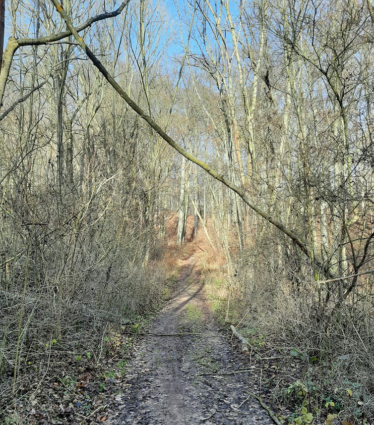 Betreten immer auf eigene Gefahr
