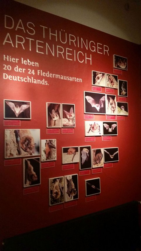 Museumsbesuch mit Sonderausstellung Spieluhren und Schneekugeln