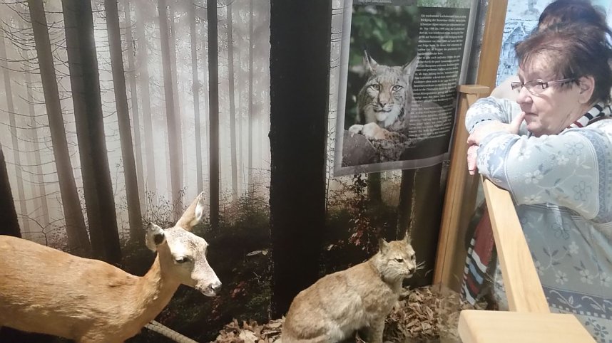 Museumsbesuch mit Sonderausstellung Spieluhren und Schneekugeln