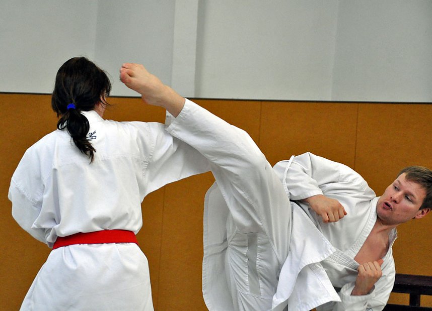 Kampfkunst kompakt, f&uuml;r Kinder und Sch&uuml;ler