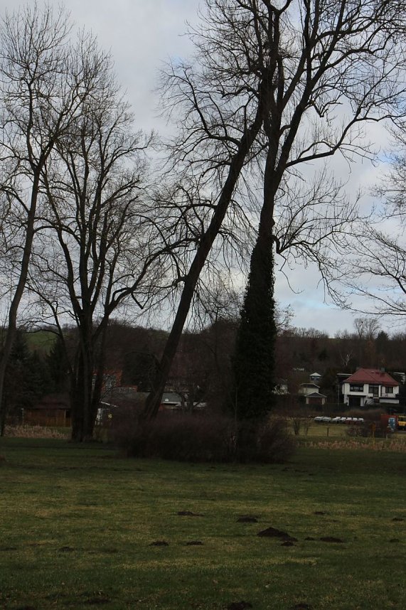 Sanierungskonzept f&uuml;r Schlosspark n&ouml;tig?