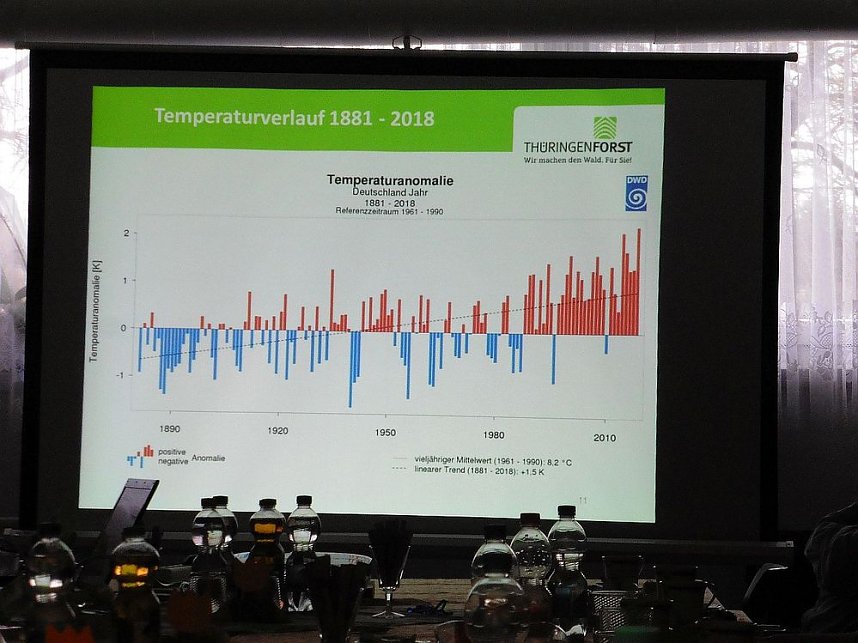 Die W&auml;lder der Hain- und Windleite
