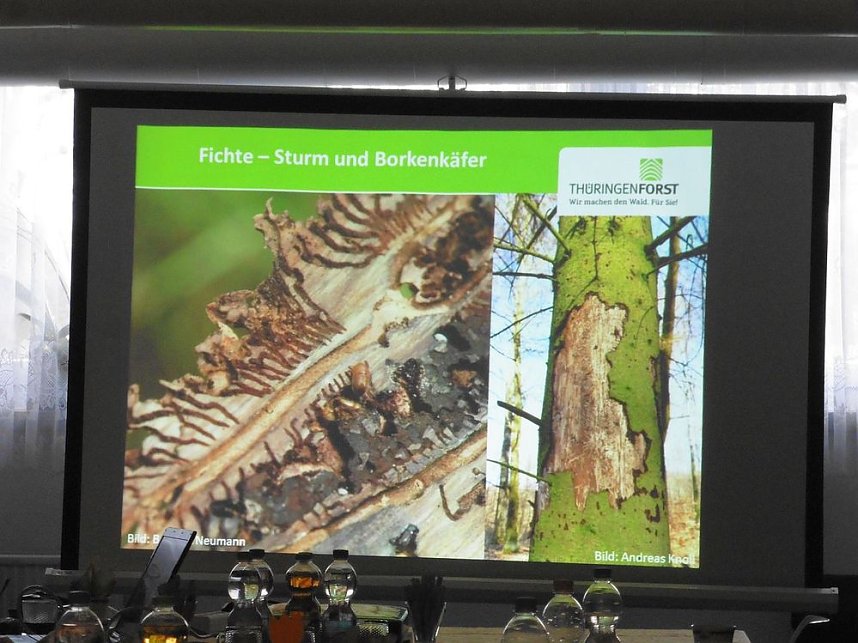 Die W&auml;lder der Hain- und Windleite