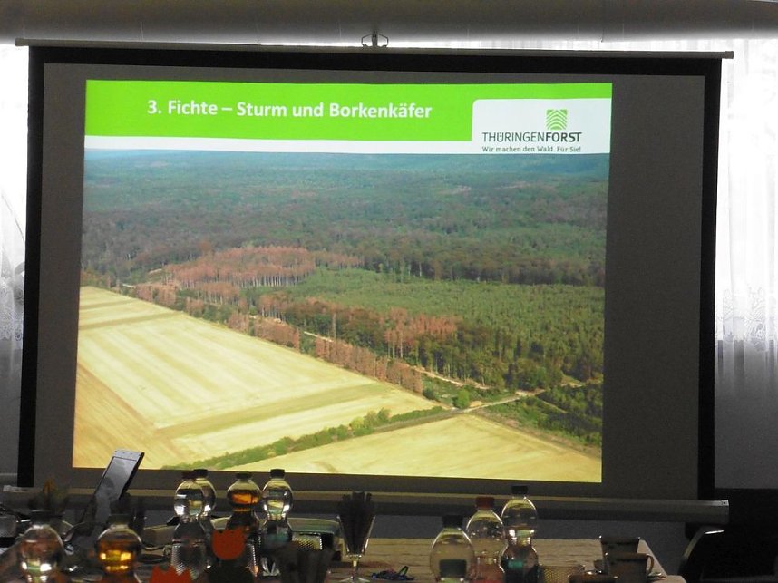 Die W&auml;lder der Hain- und Windleite