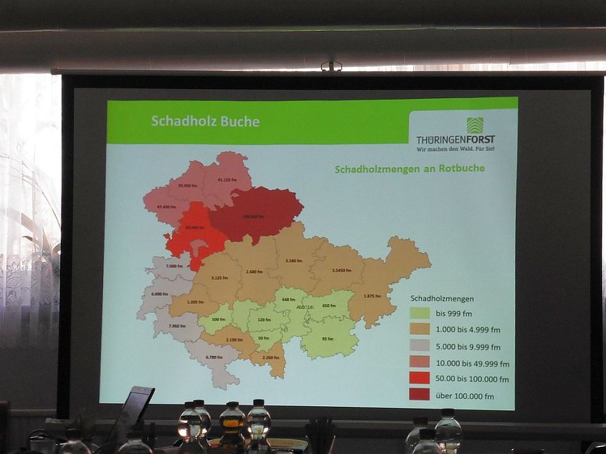 Die W&auml;lder der Hain- und Windleite