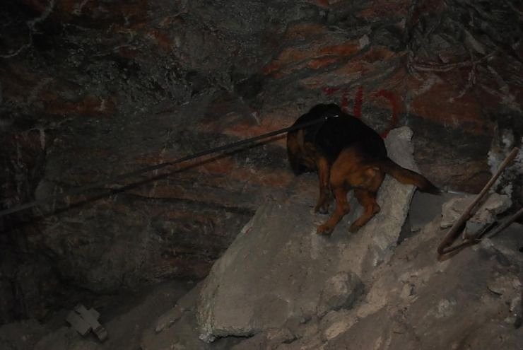 Salzstaub gesch&uuml;ffelt