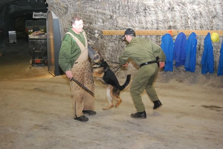 Salzstaub gesch&uuml;ffelt