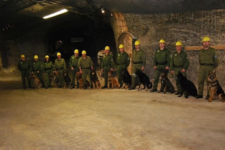 Salzstaub gesch&uuml;ffelt