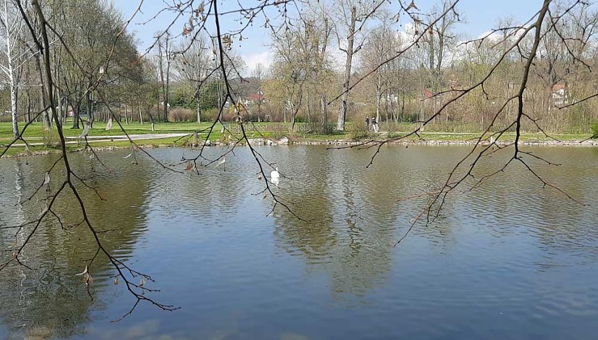 Dies und das aus Sondershausen