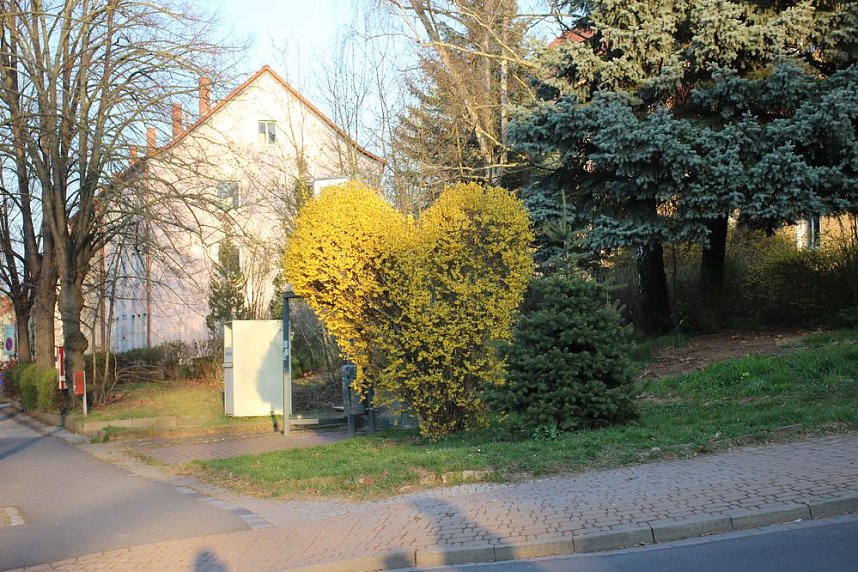 Ged&auml;chtnisglocke aufgestellt