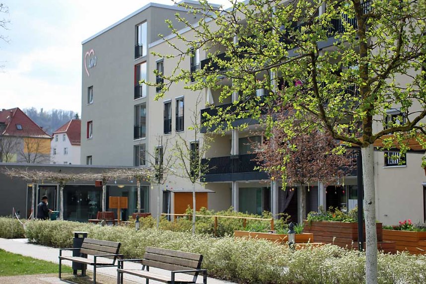 Mr. Evergreen erfreute am Nachmittag