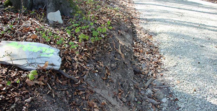 Sanierter Forstweg &uuml;bergeben