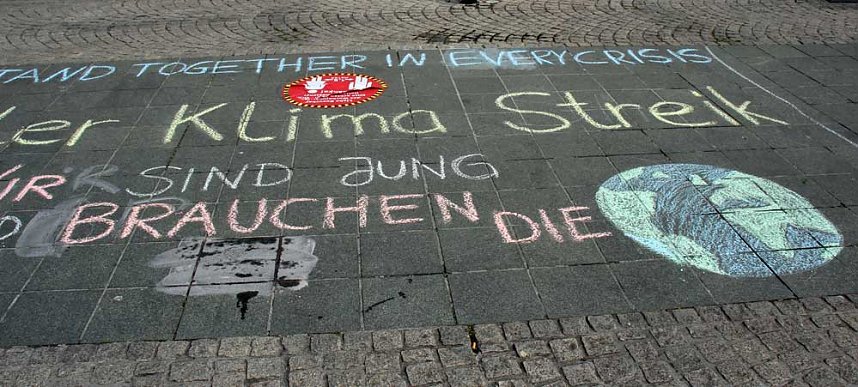 Internetaktion Fridays for Future