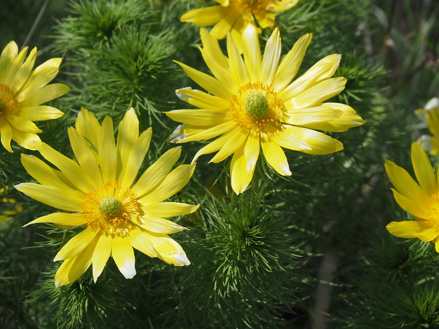 Wandern am Stausee Kelbra