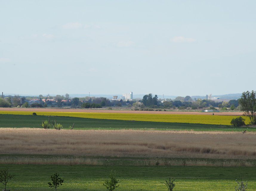 Wandern am Stausee Kelbra