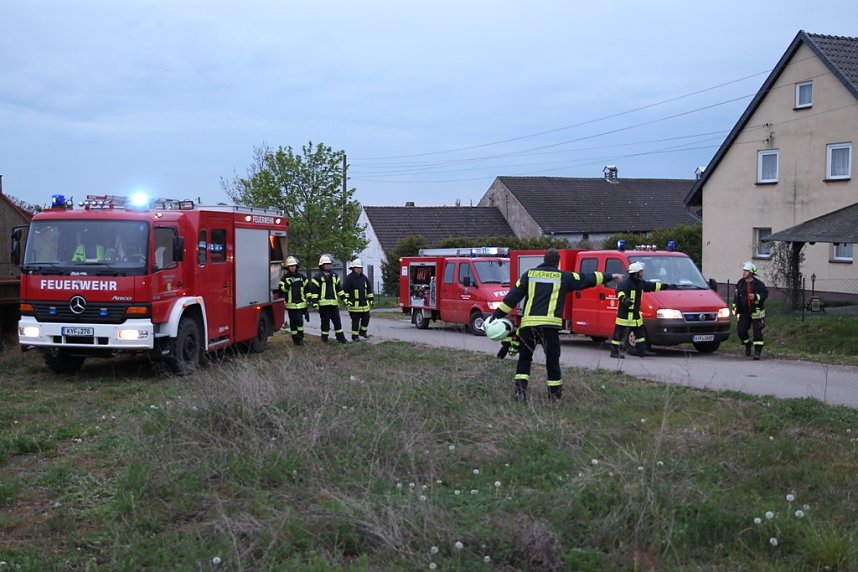 Rauch in Schweinestall