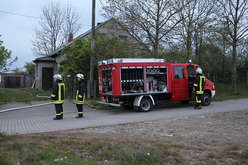 Rauch in Schweinestall