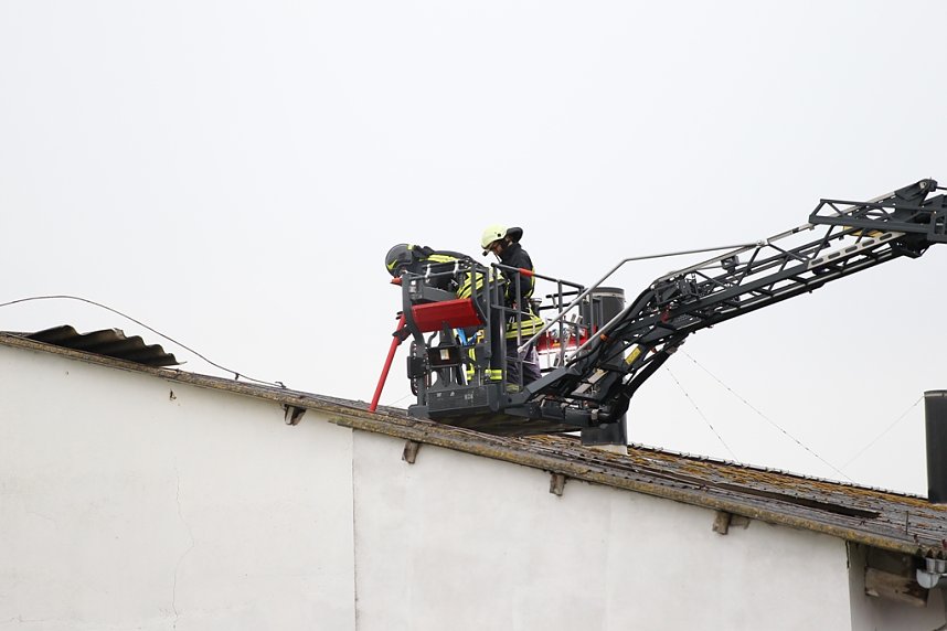 Rauch in Schweinestall