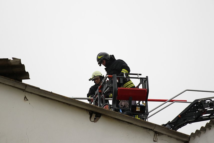 Rauch in Schweinestall