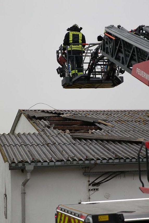 Rauch in Schweinestall