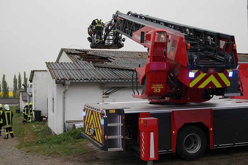 Rauch in Schweinestall