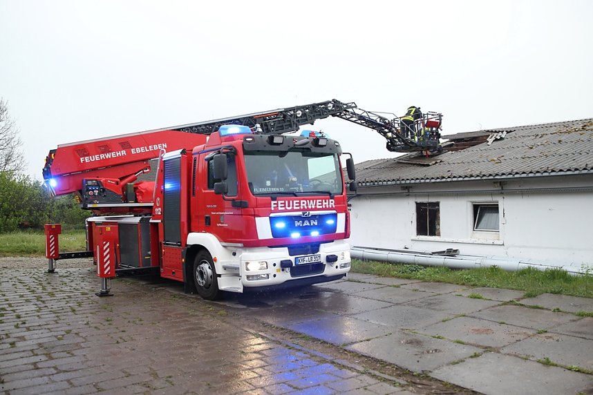 Rauch in Schweinestall