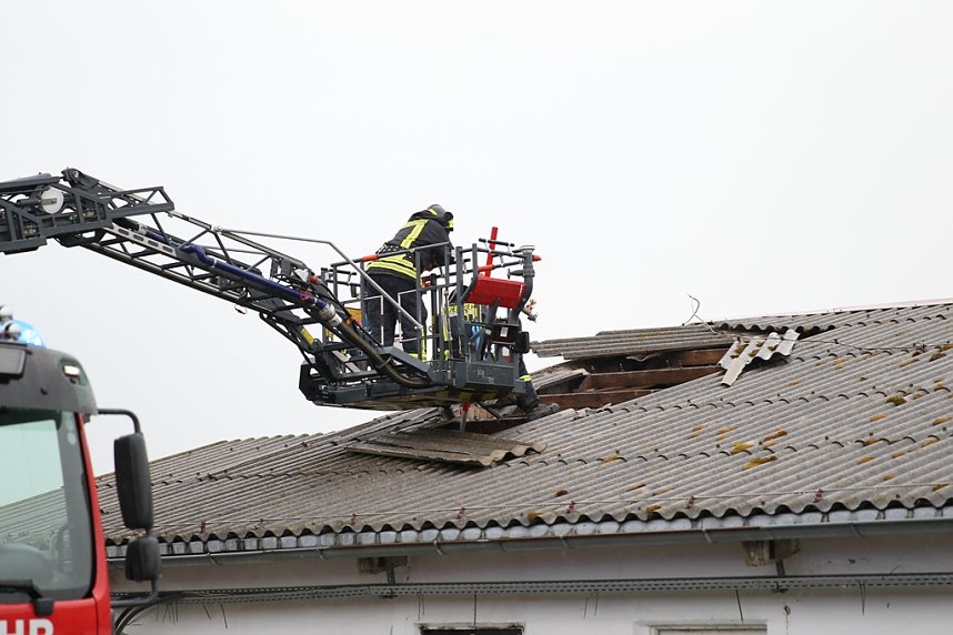 Rauch in Schweinestall