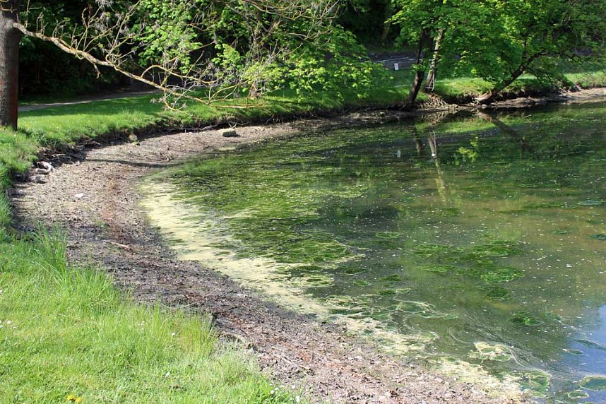 Den Parkteichen von Sondershausen fehlt (e) das Wasser