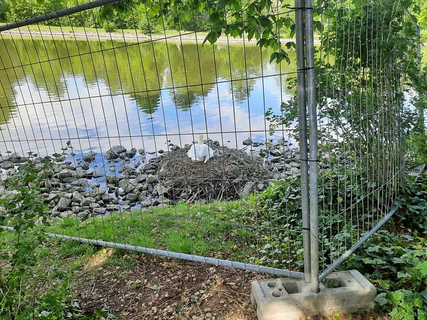 Schlossteich wird bef&uuml;llt