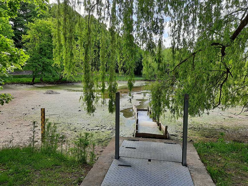 Dreistigkeit kennt keine Grenzen? 