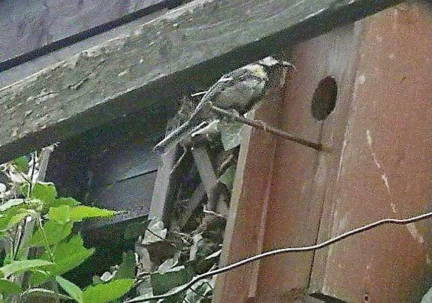 Geschichten &uuml;ber �n Gartenzaun,..
