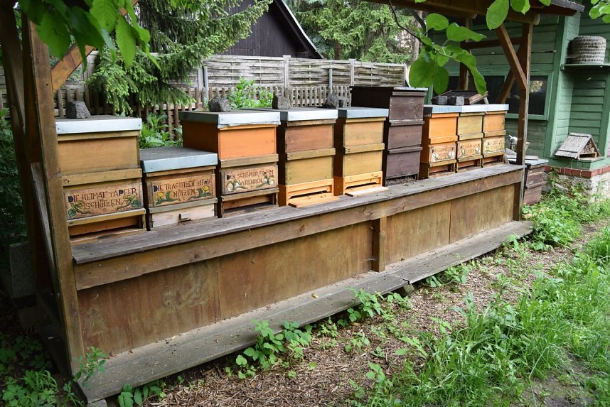 Schnelle Hilfe f&uuml;r Th&uuml;ringer Imker