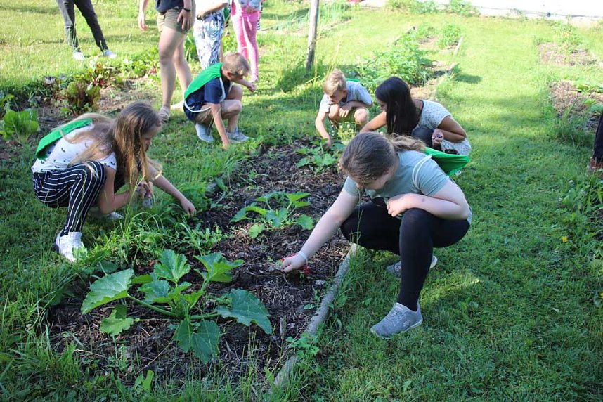 Heute wurde an der GS Franzberg geerntet und ges&auml;t