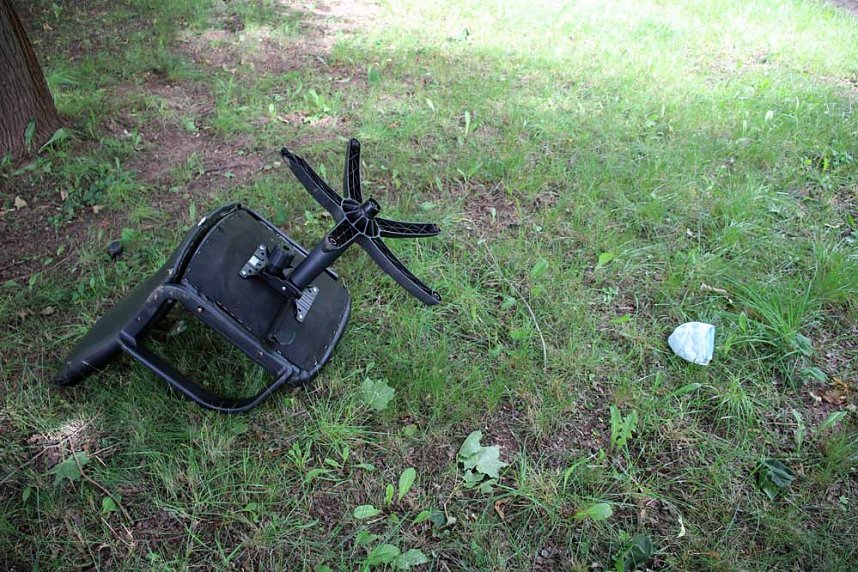 Felsenbirne, die verkannte bzw. vergessene Frucht