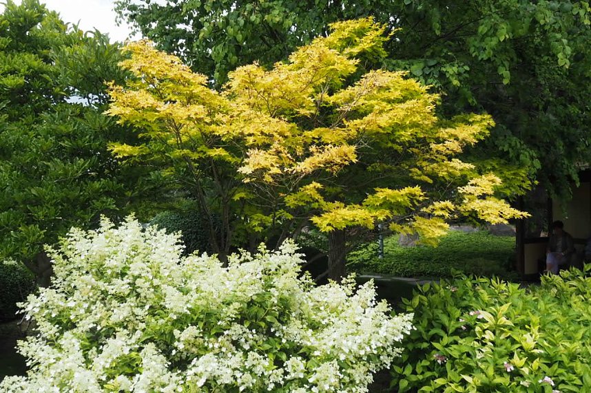 Impressionen aus Bad Langensalza