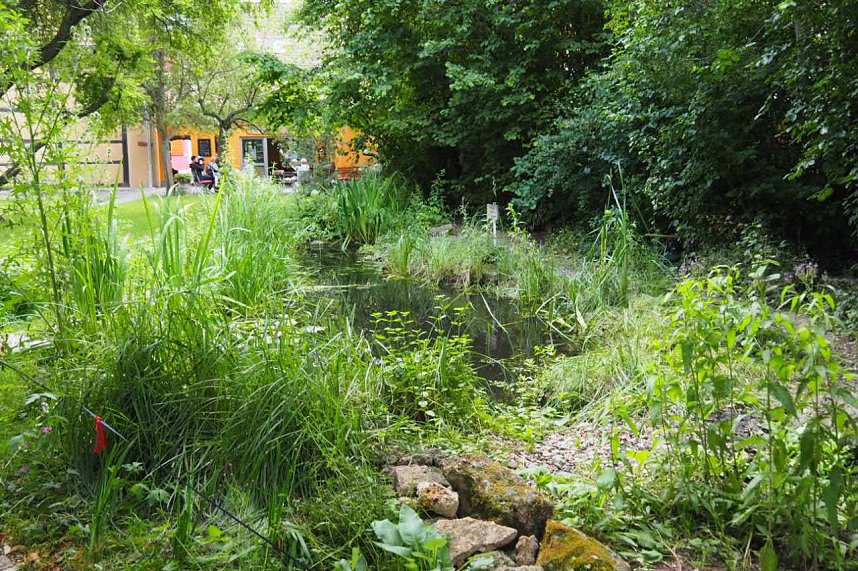 Impressionen aus Bad Langensalza