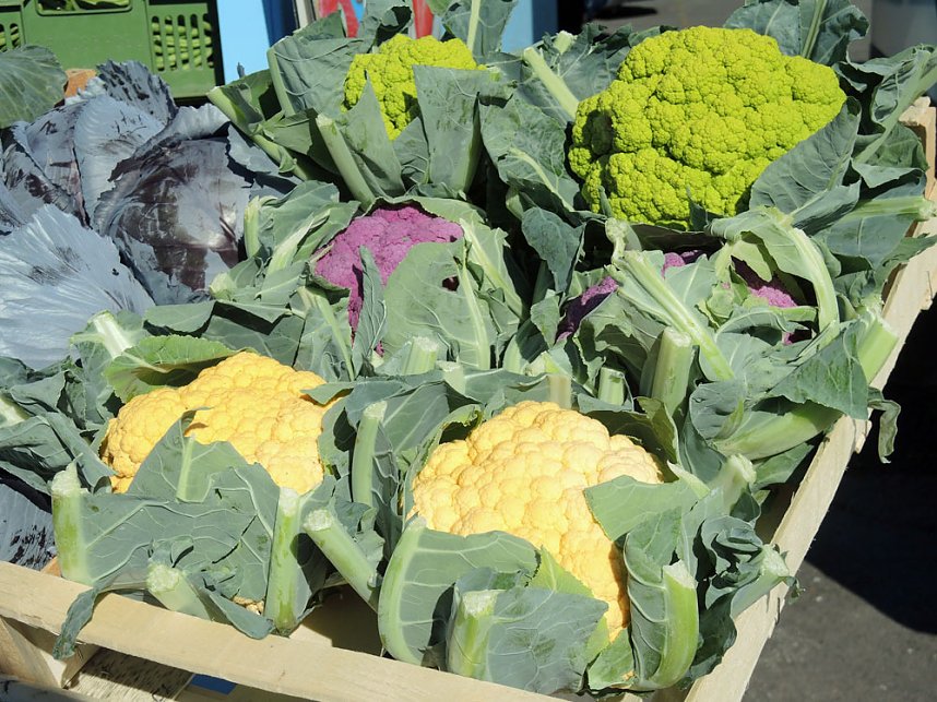 Wo bleibt die L&ouml;sung zum Einkaufen?